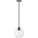 Basin 1 Light 10 inch Powder Coated Bronze Outdoor Hanging Pendant
